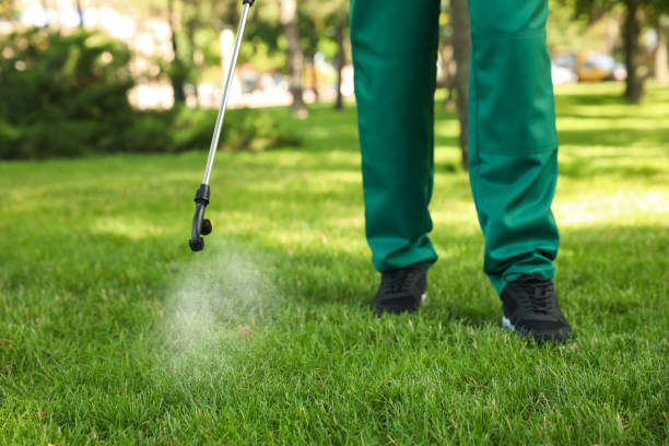 Best Best Pest Control Companies  in Eureka, CA