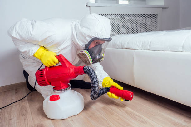 Best Best Pest Control Companies  in Eureka, CA