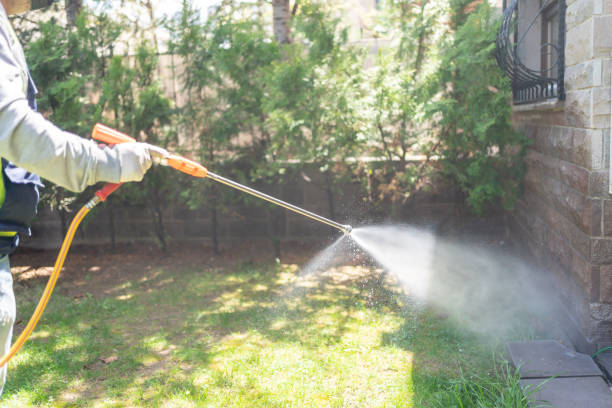 Best Wasp Removal Services  in Eureka, CA