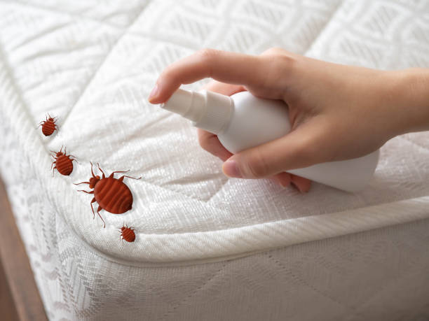 Best Pest Removal Services  in Eureka, CA